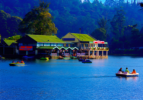 Ooty Kodaikanal  Package